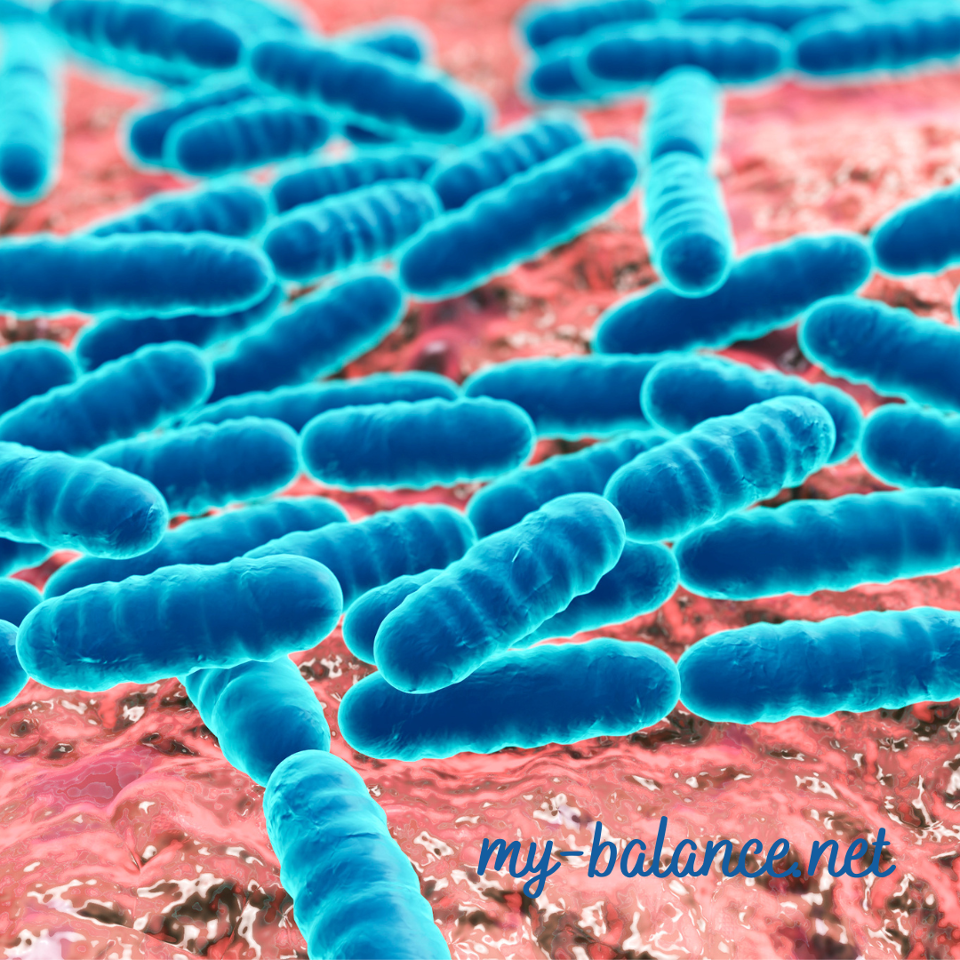 What are Probiotics and how can they help me?