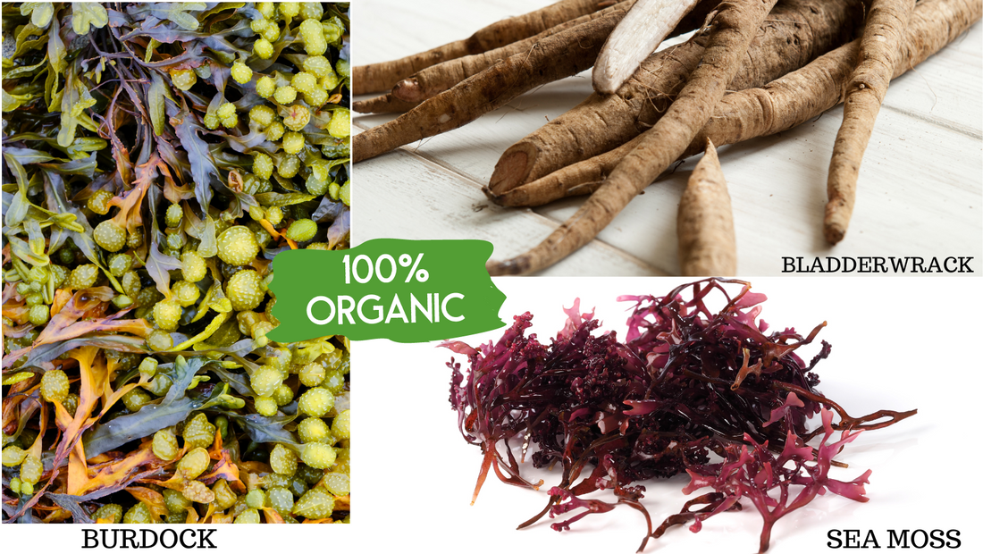 Organic Sea Moss, Endless benefits.