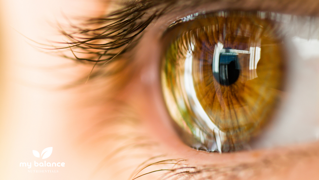 Vision Care