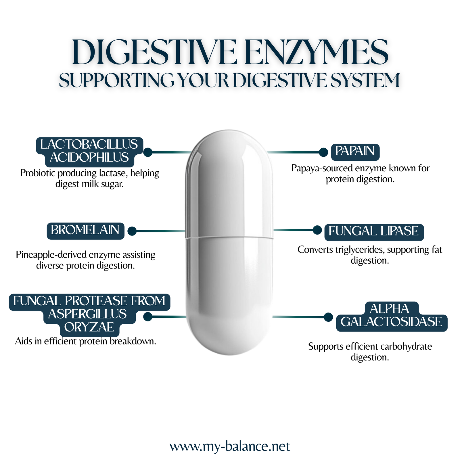 Discover the Power of Digestive Enzymes
