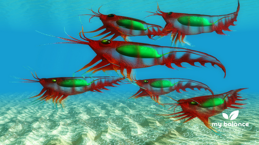 Krill Oil "A Rich Source of Omega-3 Fatty Acids"