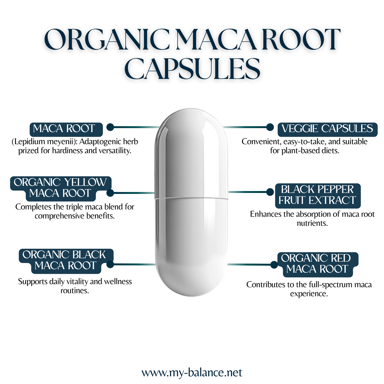 Discover the Power of Organic MACA Root Capsules