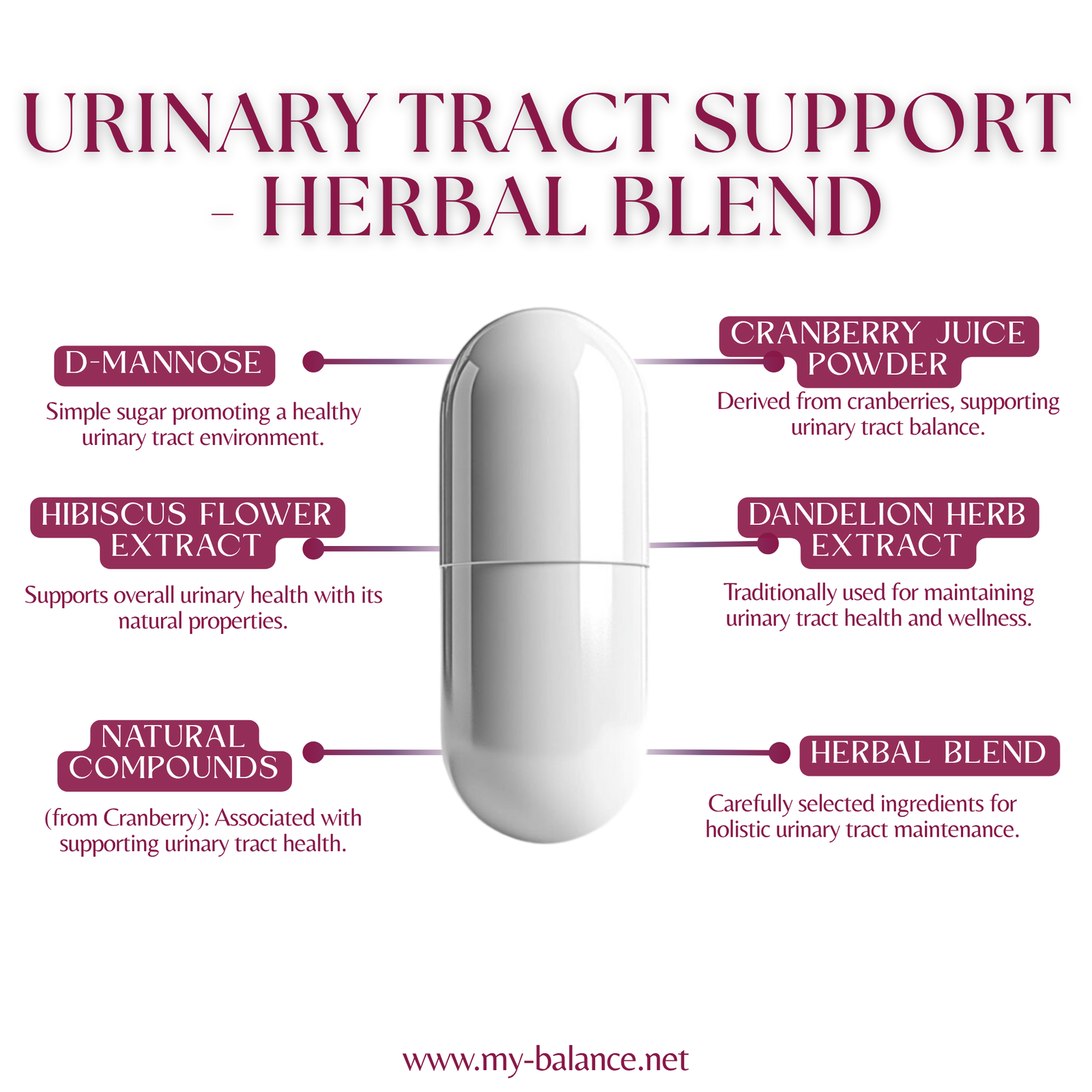 Discover the Power of Urinary Tract Support - Herbal Blend