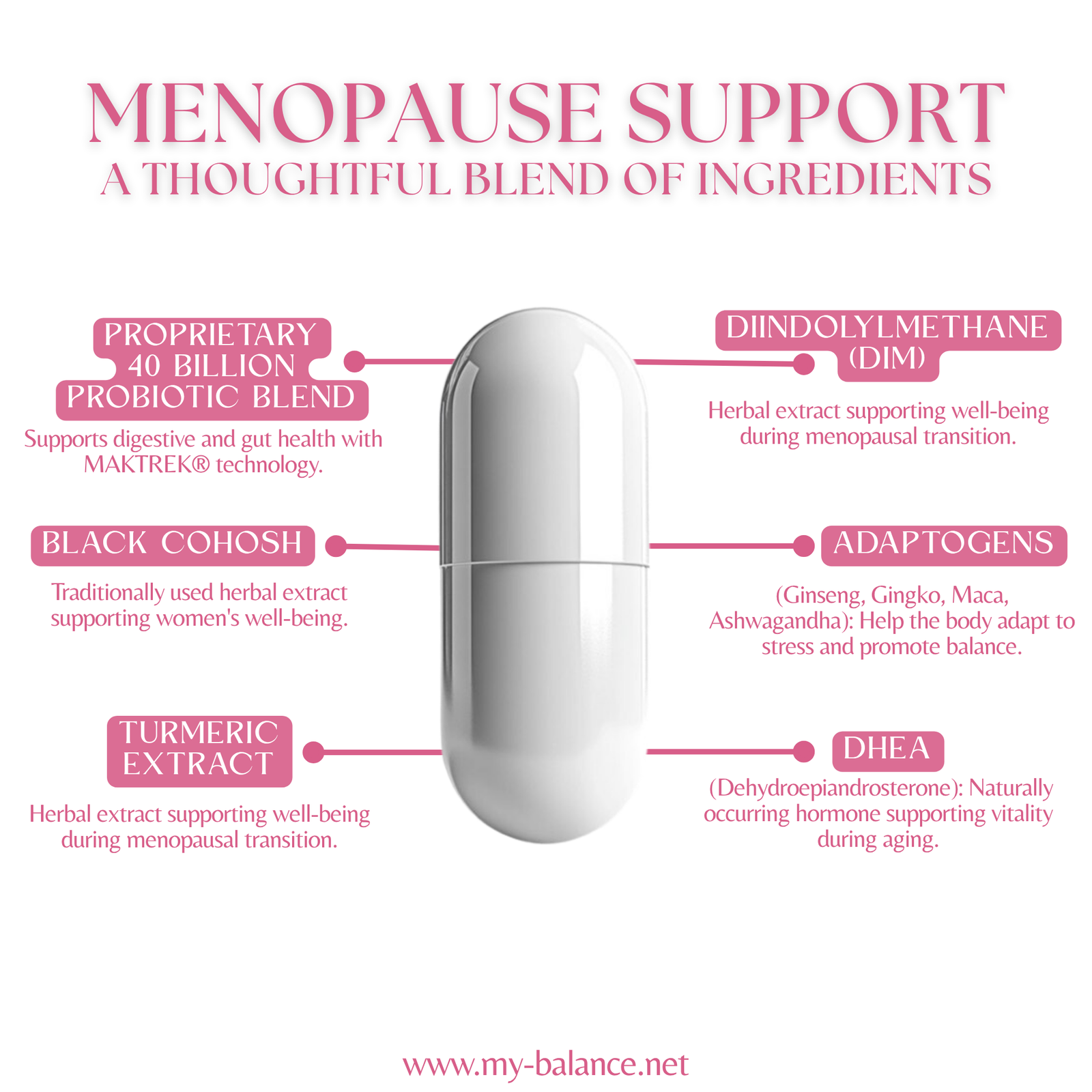 Discover the Power of Menopause Support