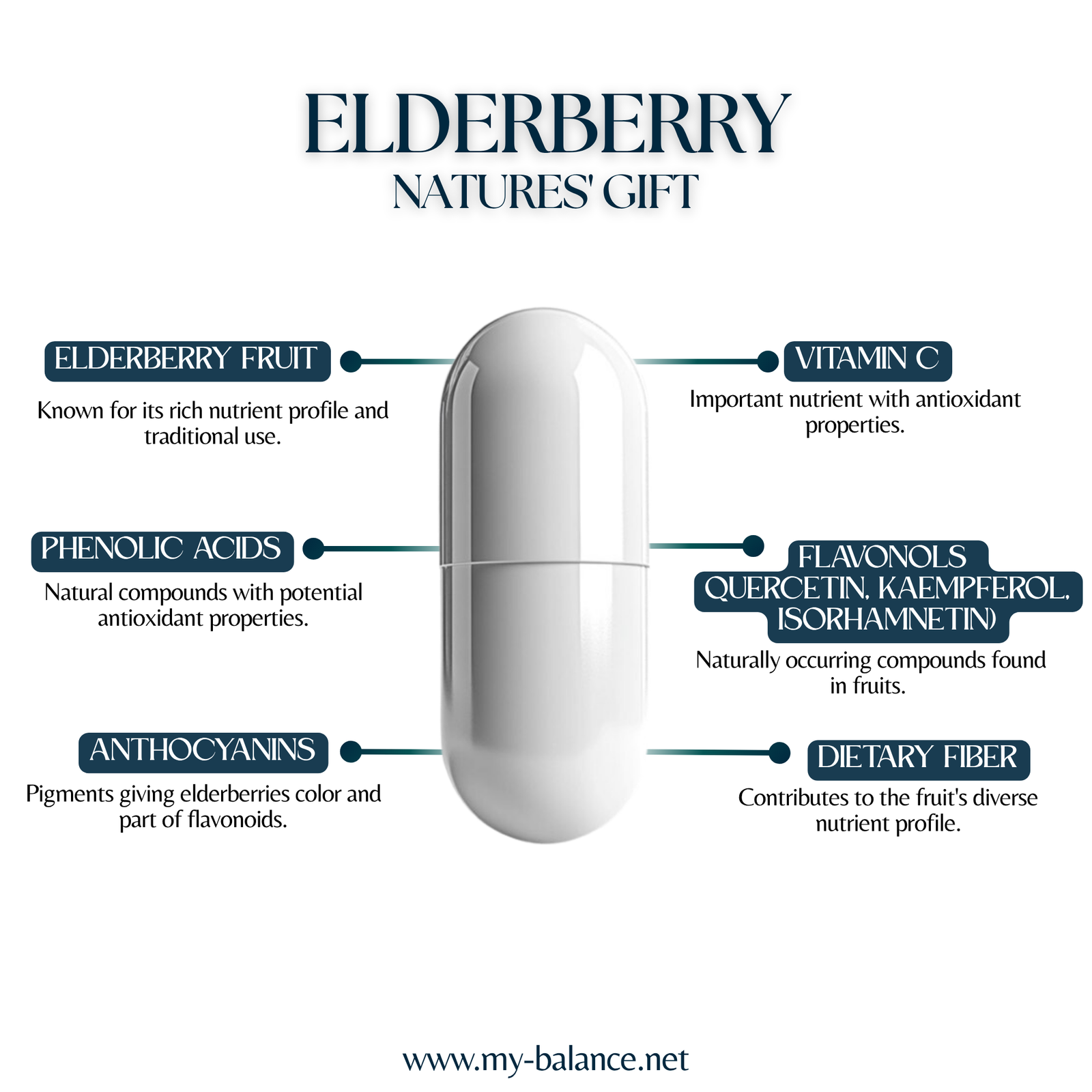 Discover the Power of Elderberry - Natures' Gift