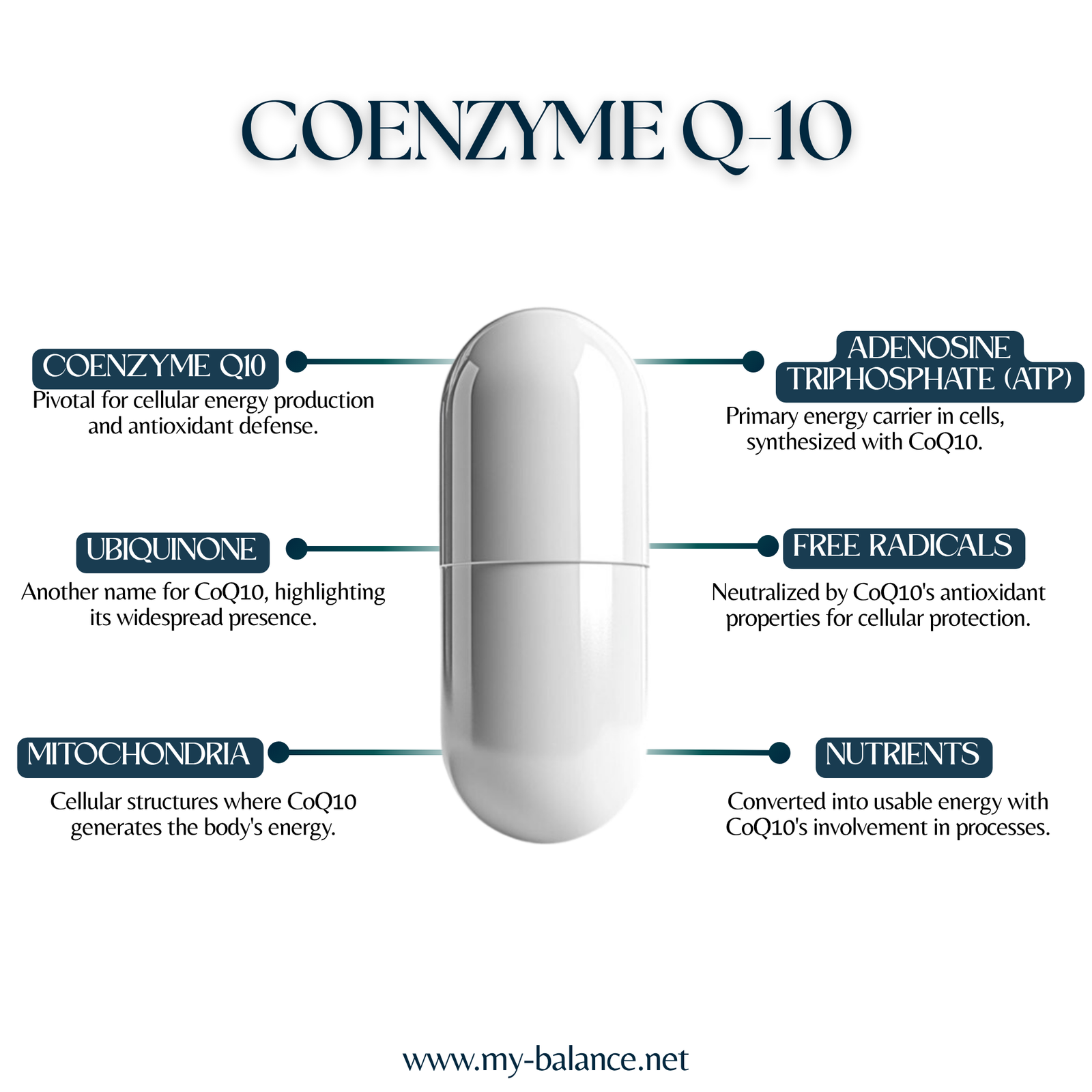 Discover the Power of Coenzyme Q-10