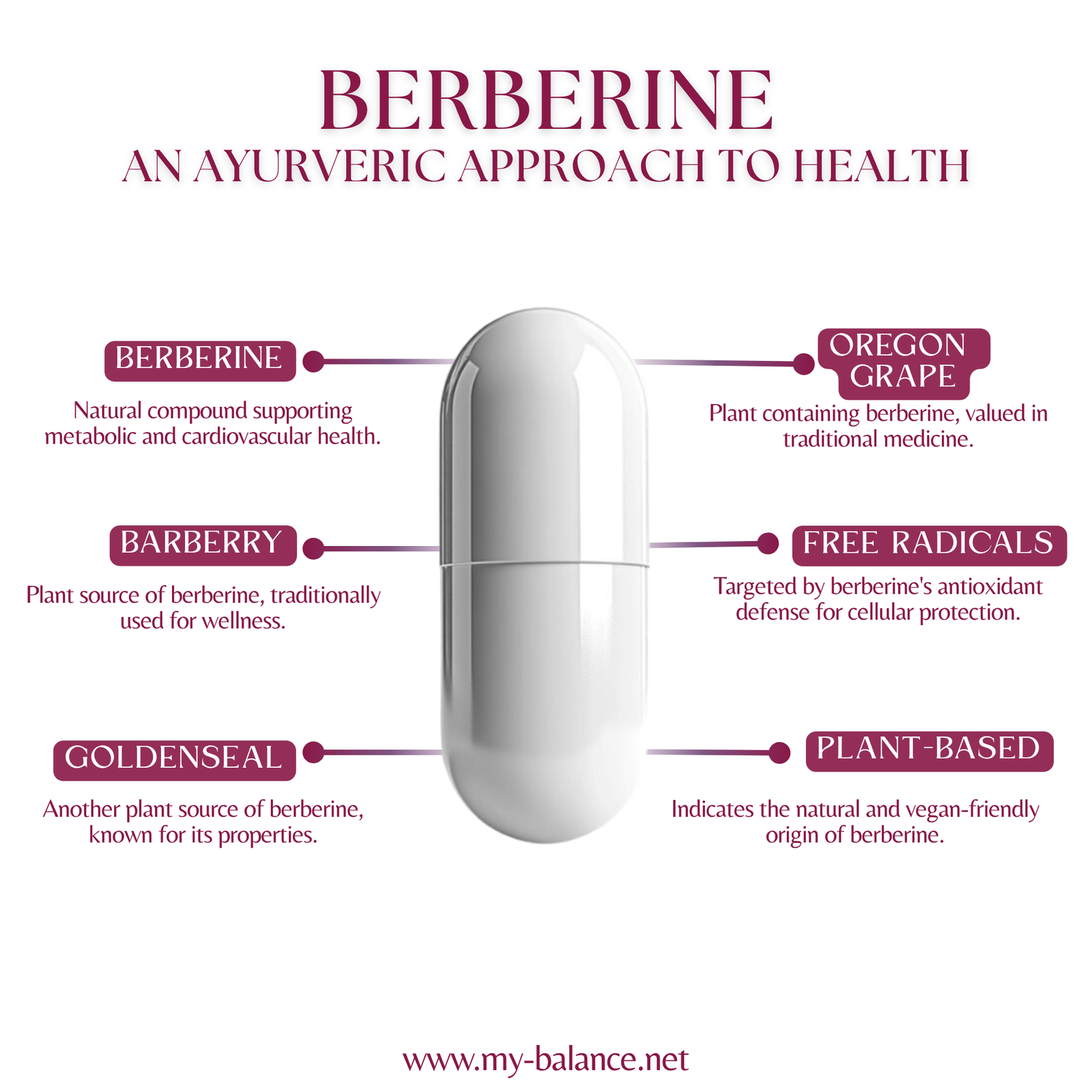 Discover the Power of Berberine