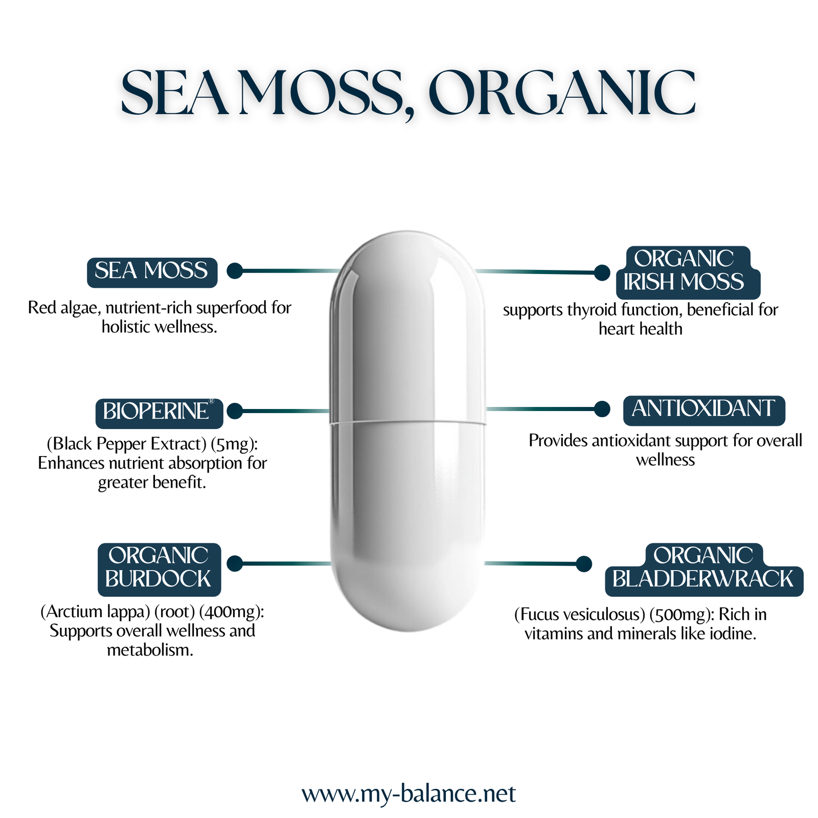 Discover the Power of Sea Moss, Organic