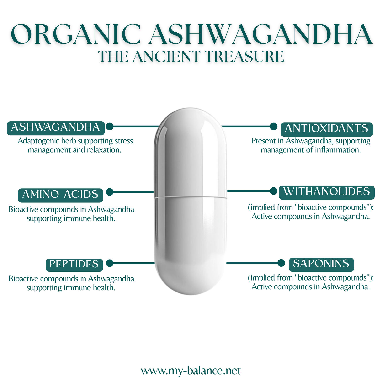 Discover the power of Organic Ashwagandha - An Ancient Treasure