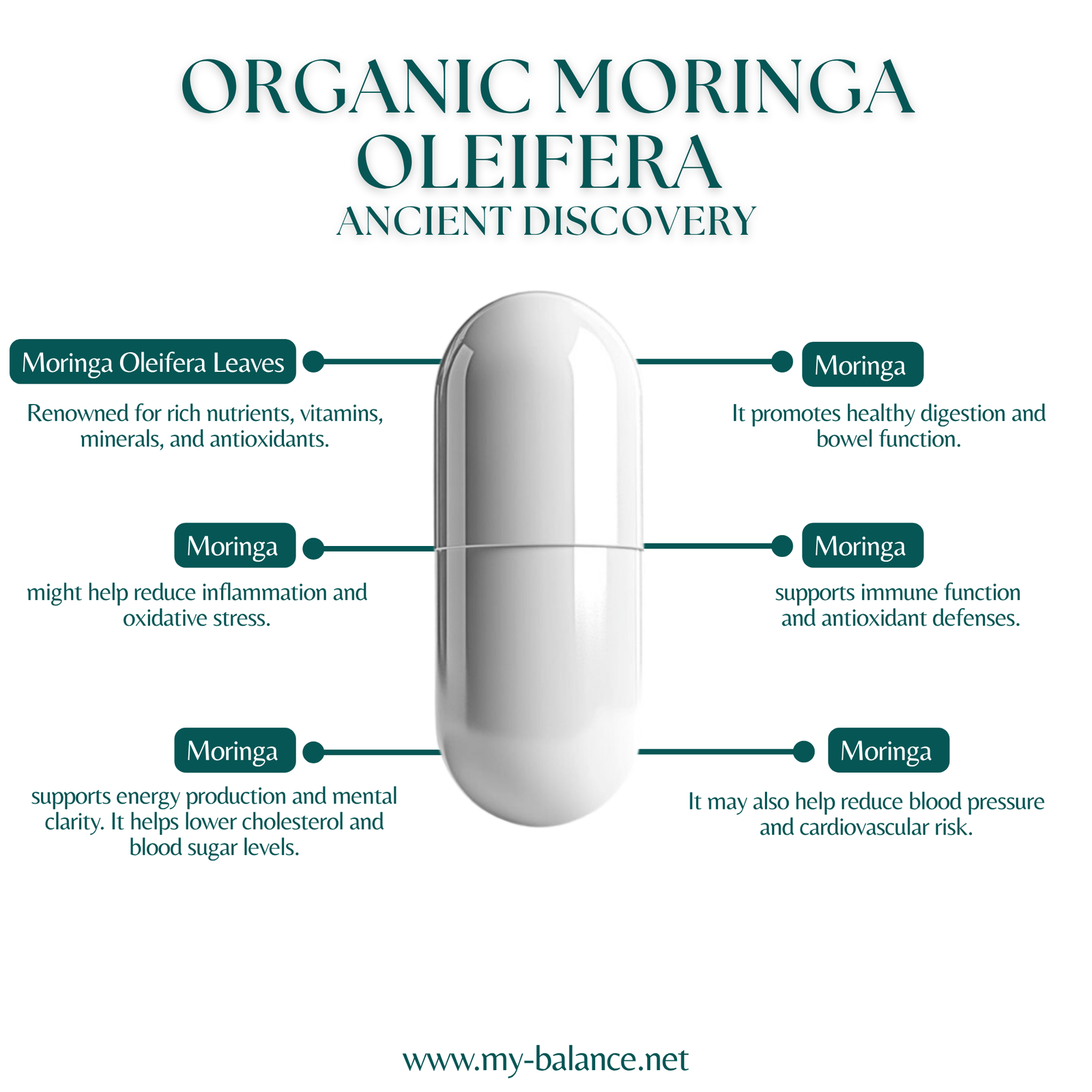 Discover the Power of Organic Moringa Oleifera