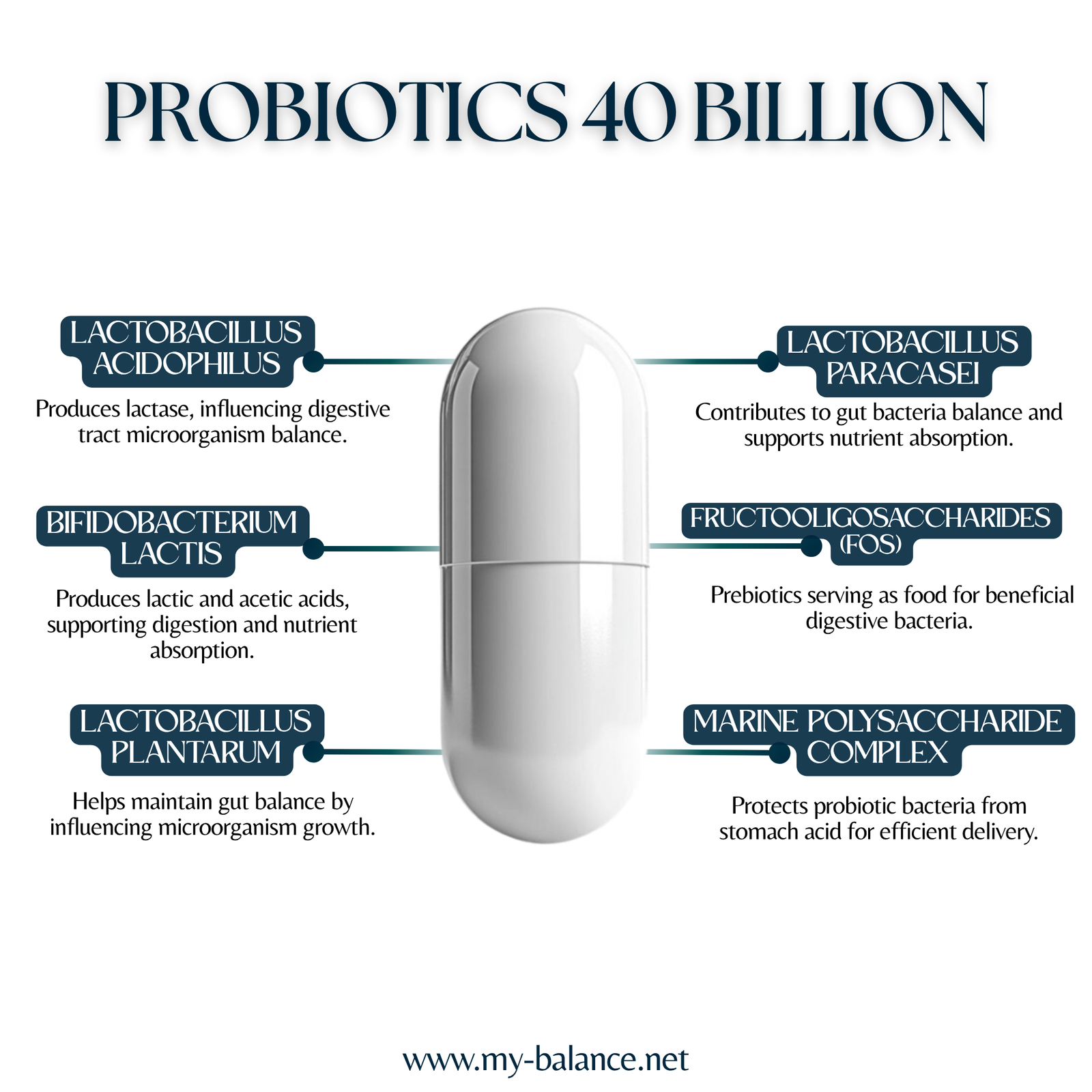 Discover the Power of Probiotics 40 Billion