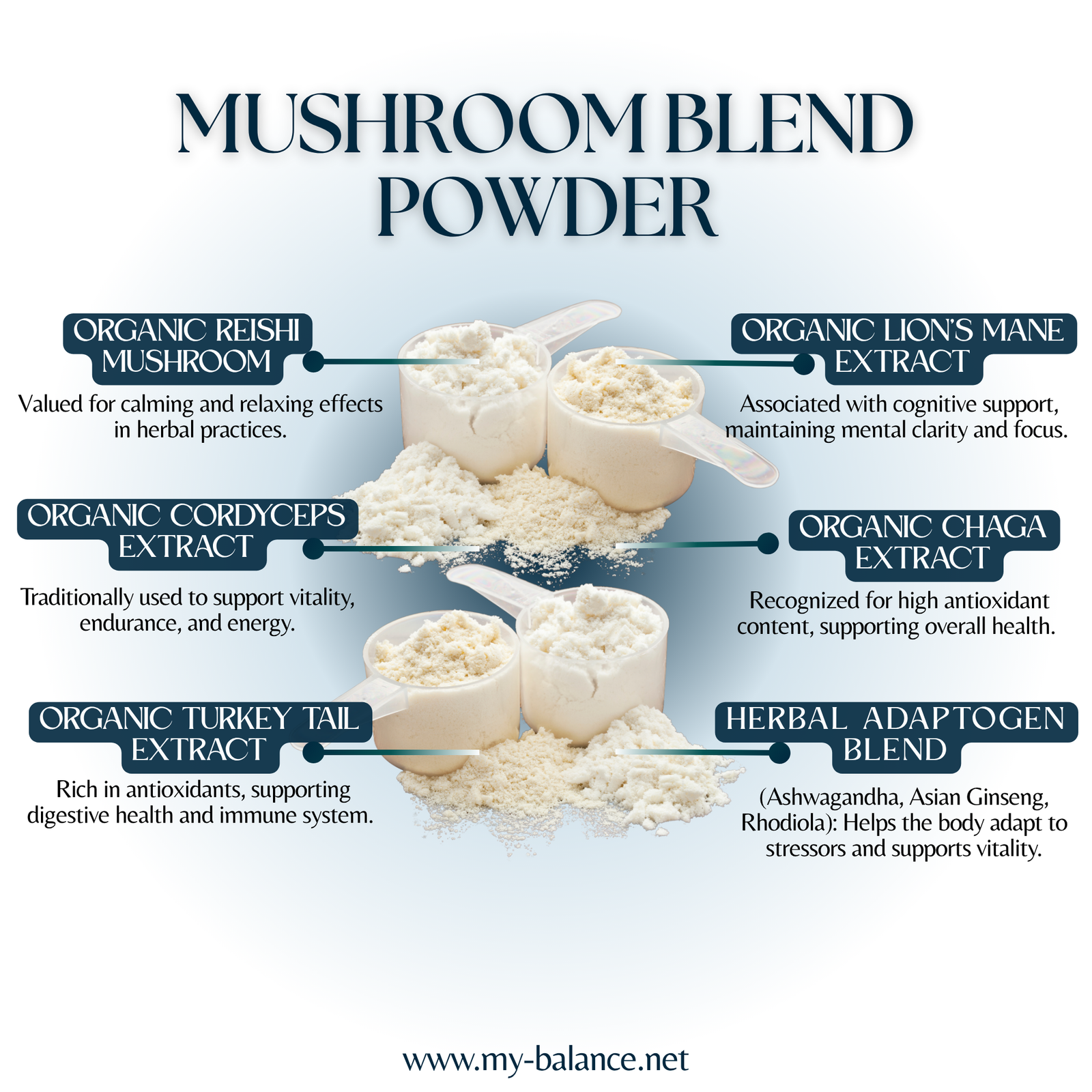 Discover the Power of Mushroom Blend Powder