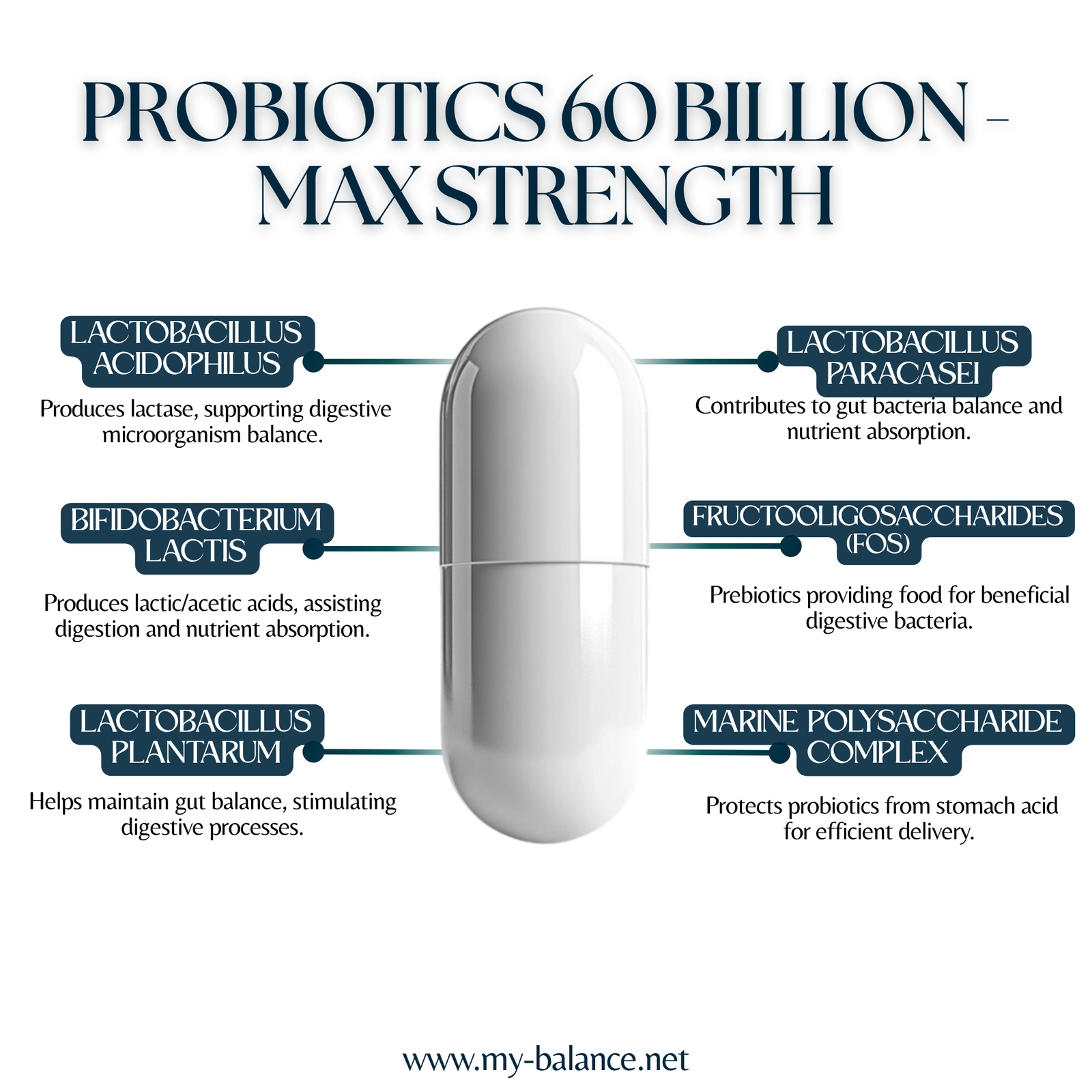 Discover the Power of Probiotics 60 billion
