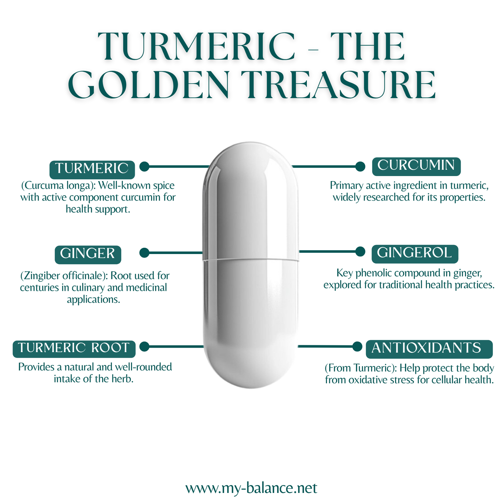 Discover the Power of Turmeric With Ginger 650Mg
