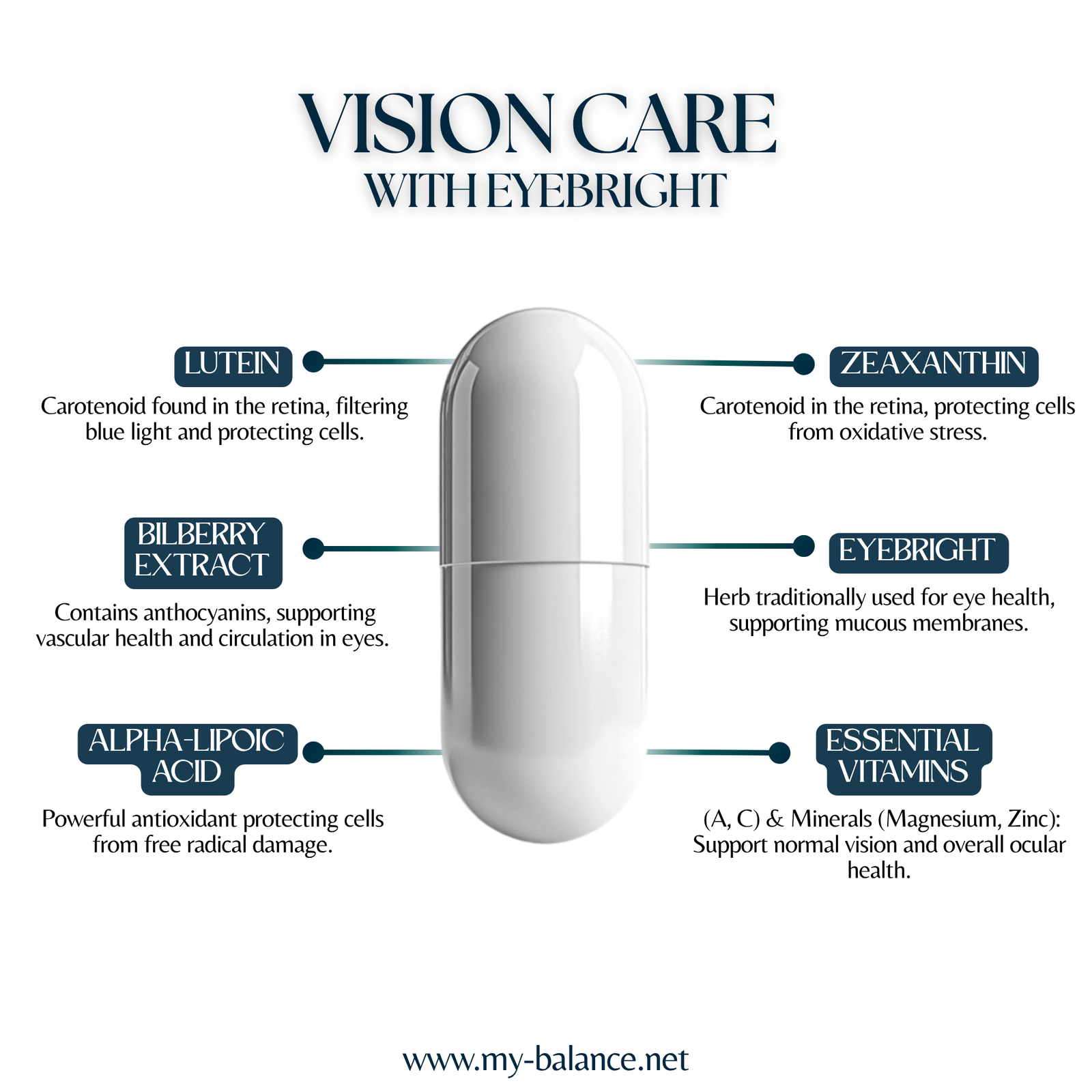 Discover the Power of Vision Care - With Eyebright