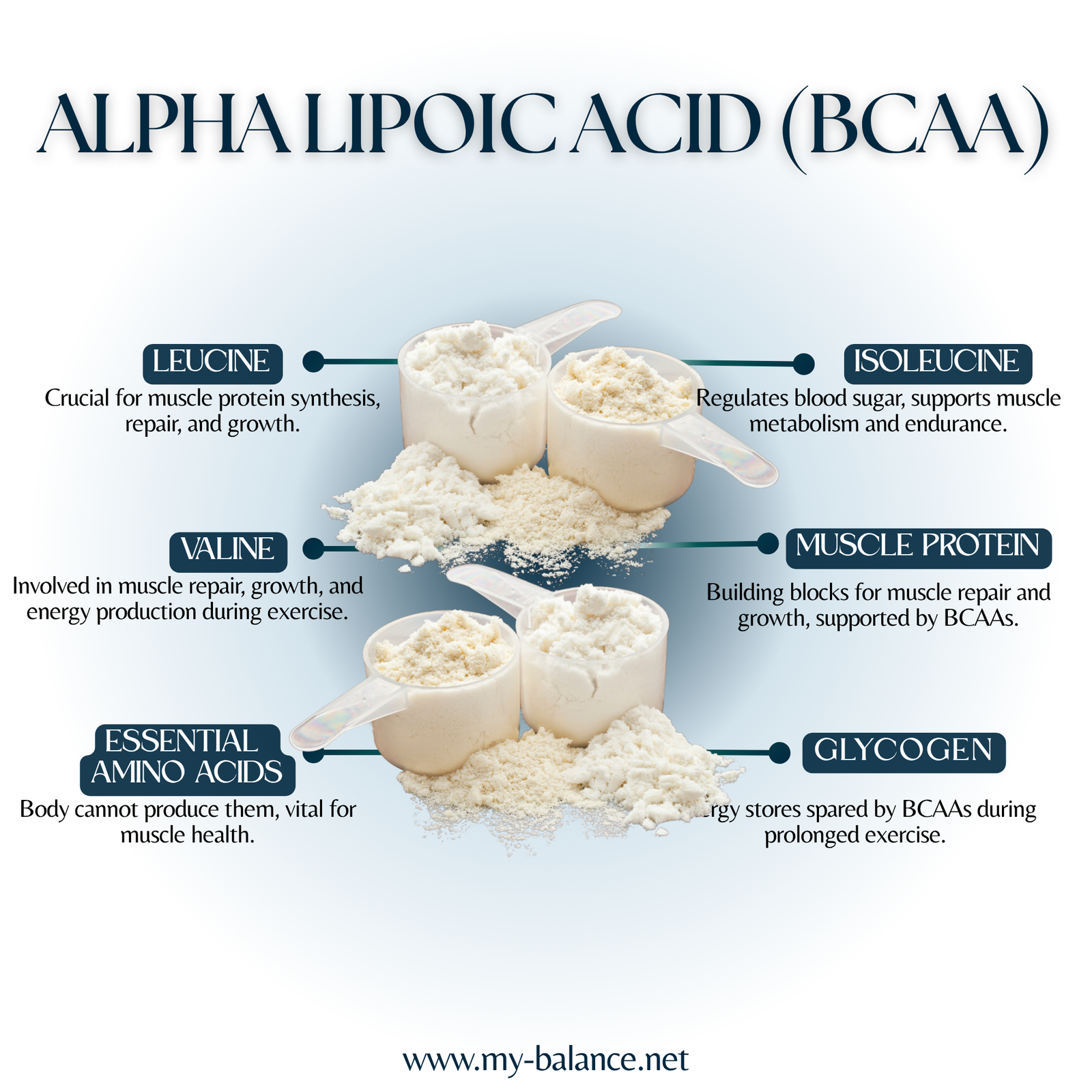 Discover the Power of BCAA - Branched Chain Amino Acids