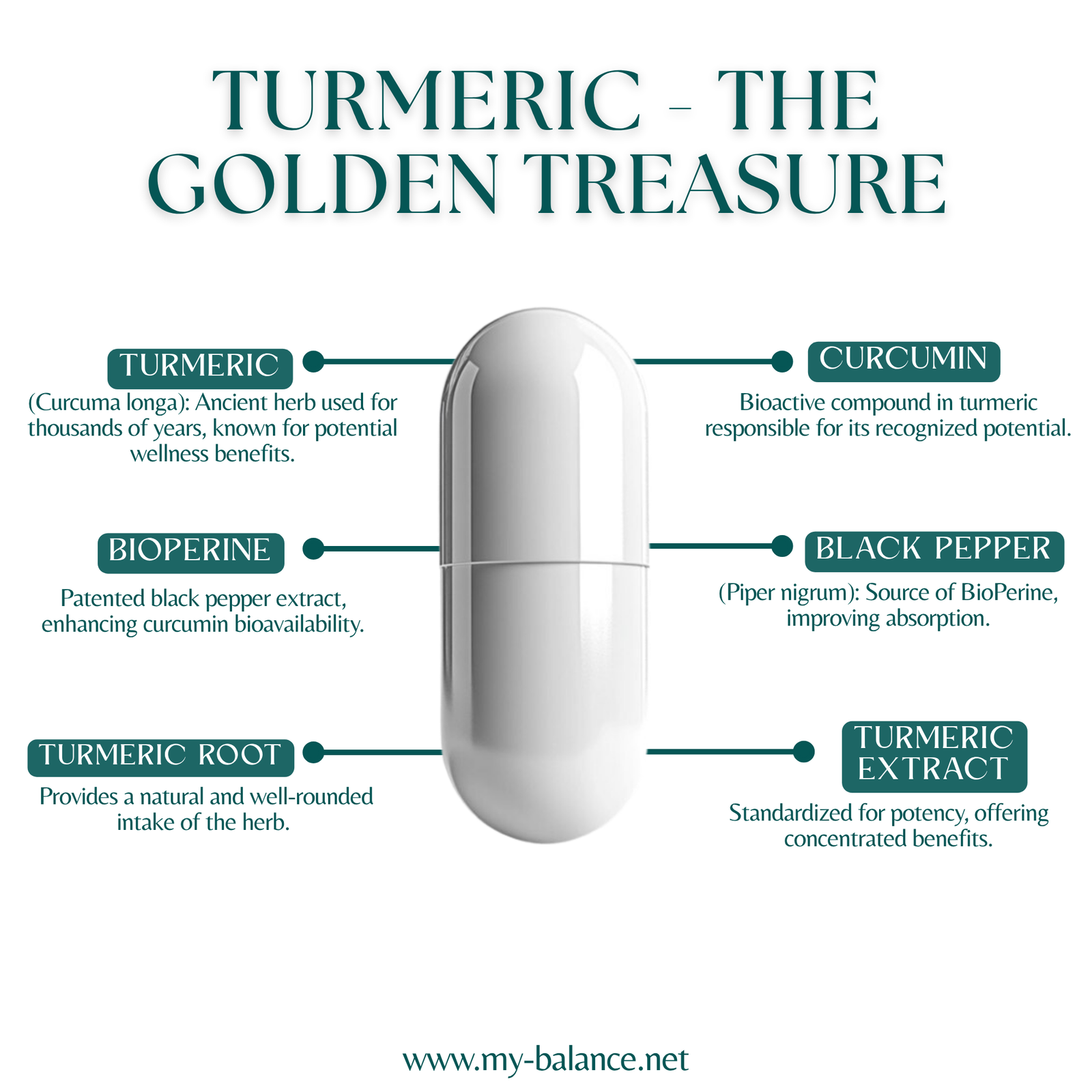 Discover the Power of Turmeric - The Golden Treasure