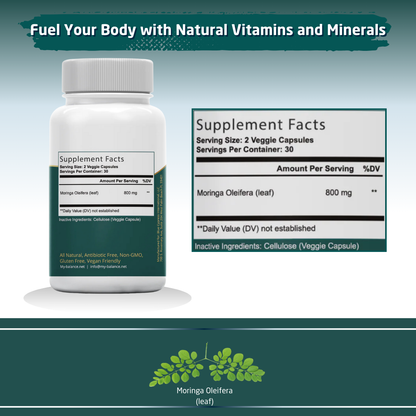 Organic Moringa Oleifera - Ancient Discovery