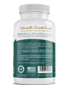 Ginkgo Biloba - Ancient Wisdom