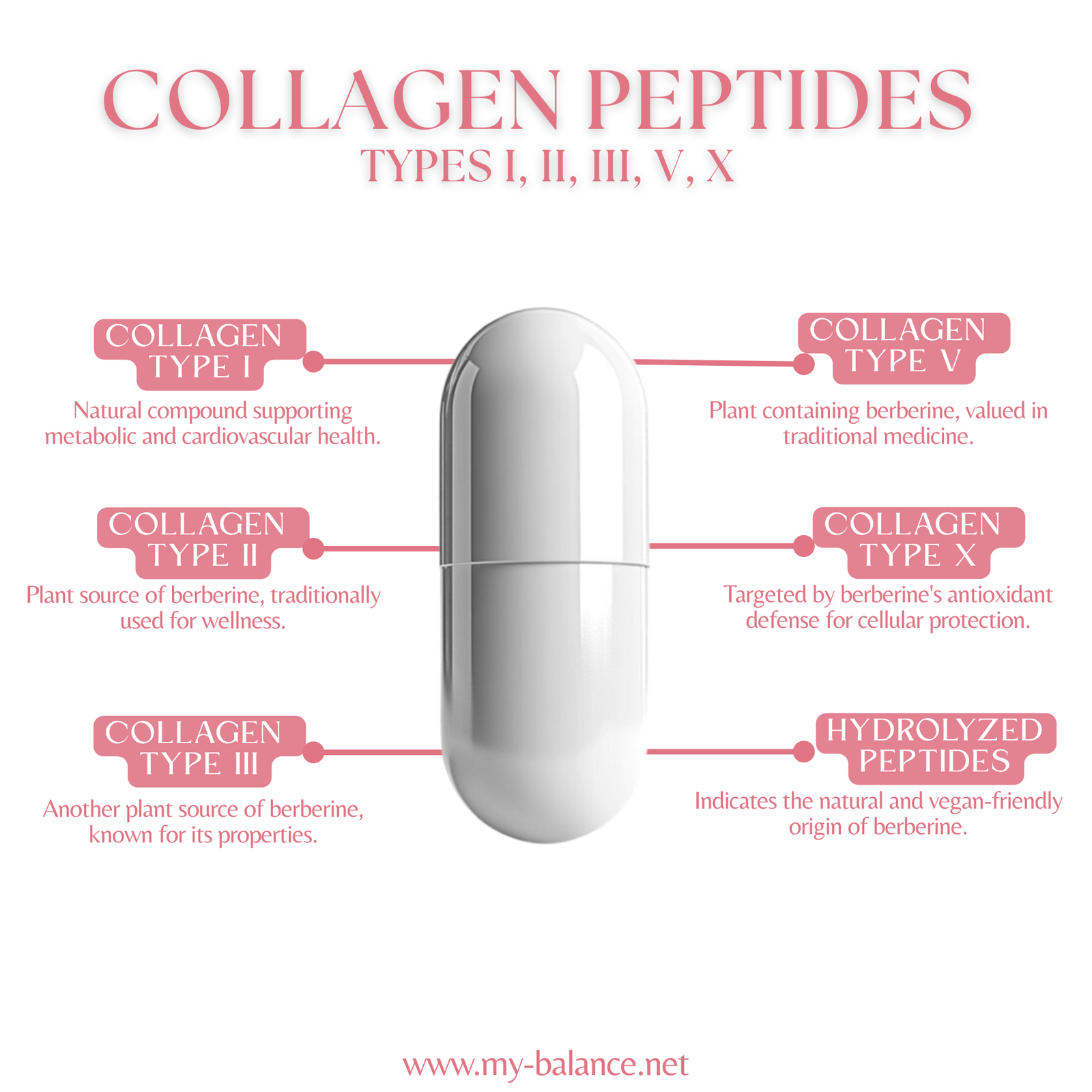 Discover the Power of Collagen Peptides Types I, II, III, V, X