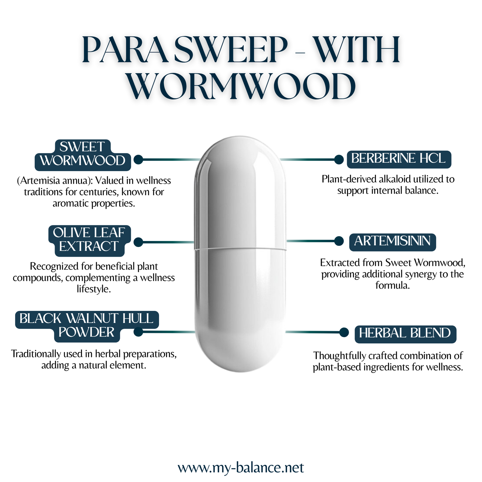Discover the Power of PARA Sweep - With Wormwood