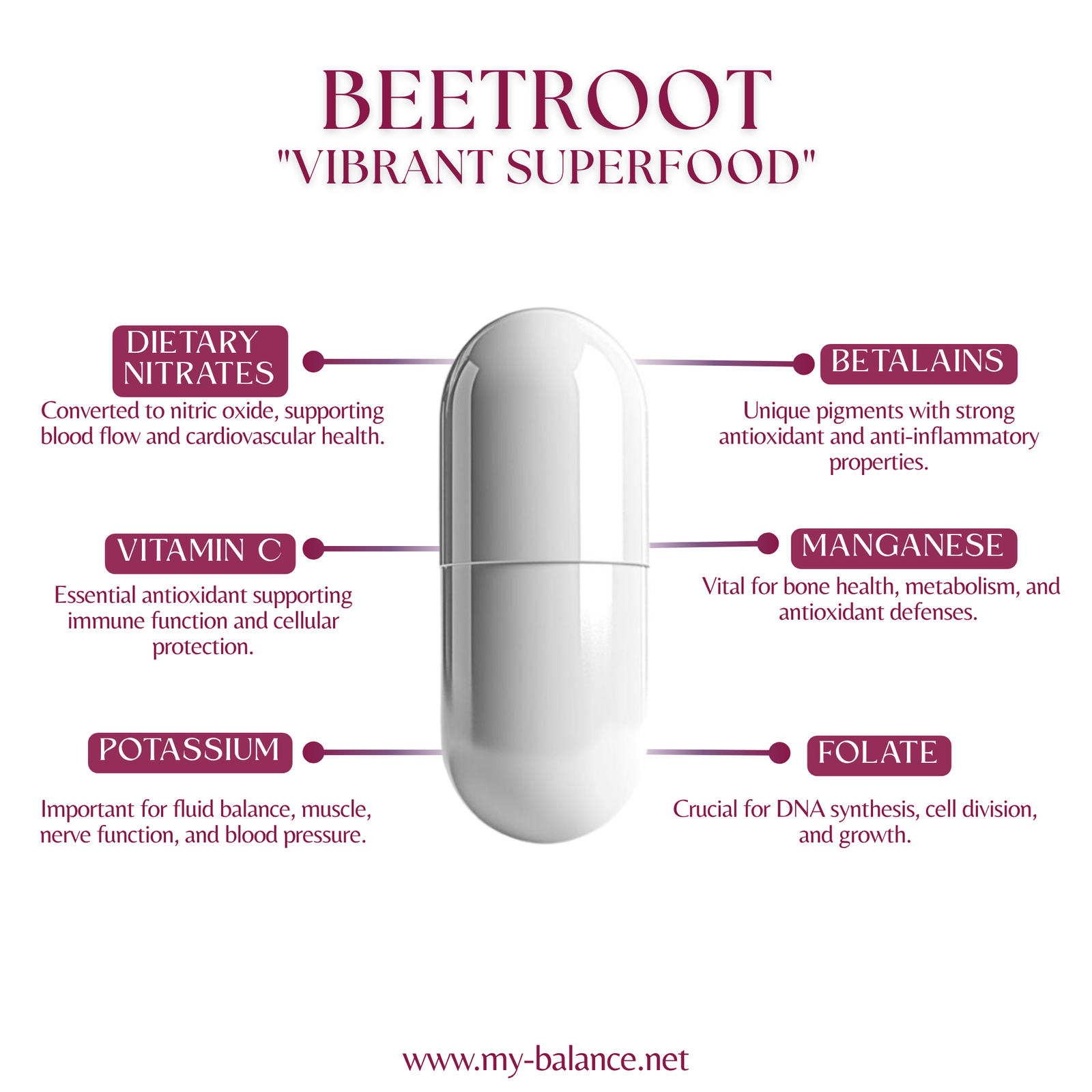 Discover the Power of Beetroot - Vibrant Superfood