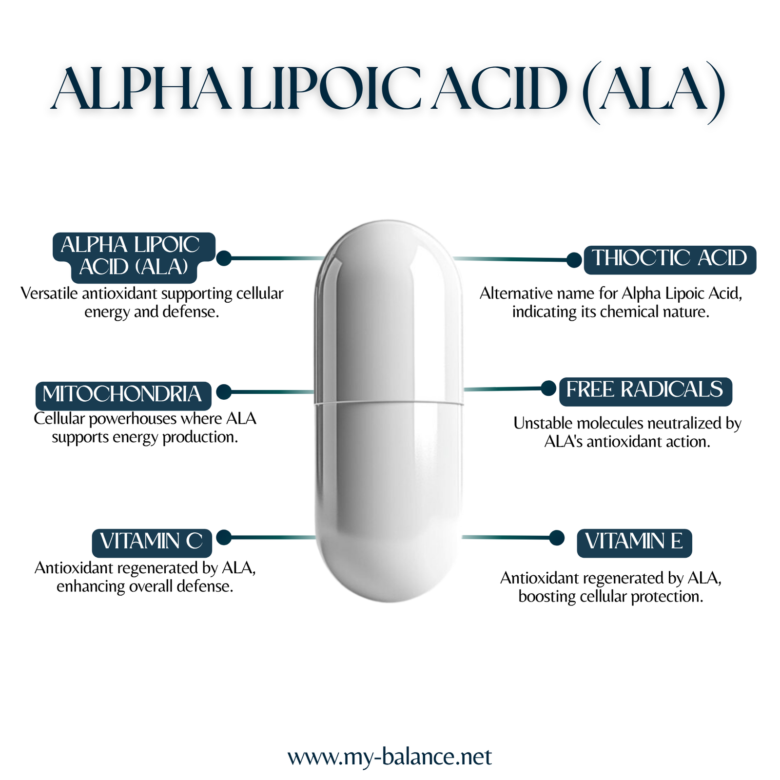 Discover the Power of Alpha Lipoic Acid (ALA)