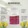 Berberine "An Ayurveric approach to Health"
