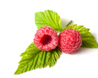 Raspberry Ketone